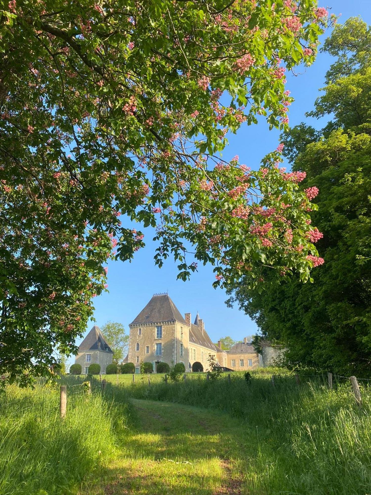 Chateau Des Feugerets Белем Экстерьер фото